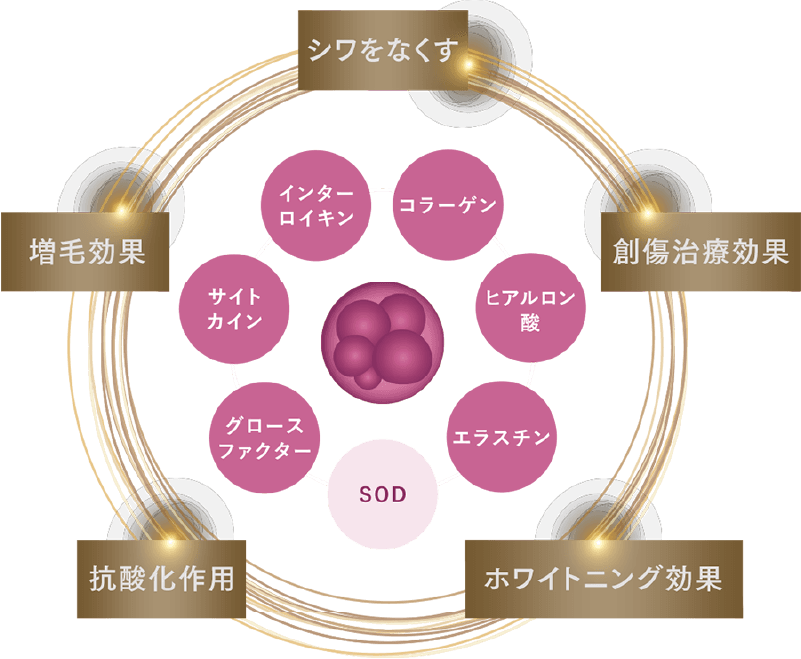 シワをなくす・創傷治療効果・ホワイトニング効果・抗酸化作用・増毛効果