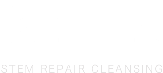 STEM REPAIR CLEANSING - ステム リペア クレンジング | direia