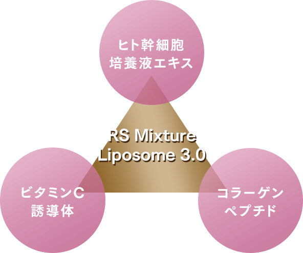 RS Mixture Liposomes3.0